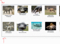 Click image for larger version

Name:	tilegrid.gif
Views:	212
Size:	66.7 KB
ID:	218366