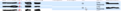 Click image for larger version

Name:	row_alignment_problem_masked.png
Views:	141
Size:	12.7 KB
ID:	228863