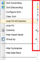 SmartClient MenuBar with No Scroll Bar Issue1.png